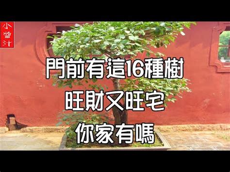 森樹風水|5個森樹種植常見錯誤